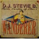 DJ STEVIE B. - The wanderer